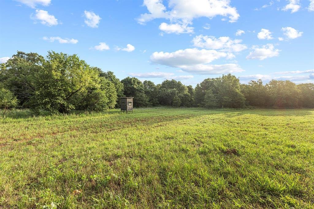 Farm Ranch in Jacksboro, Texas, United States 5 - 18411506