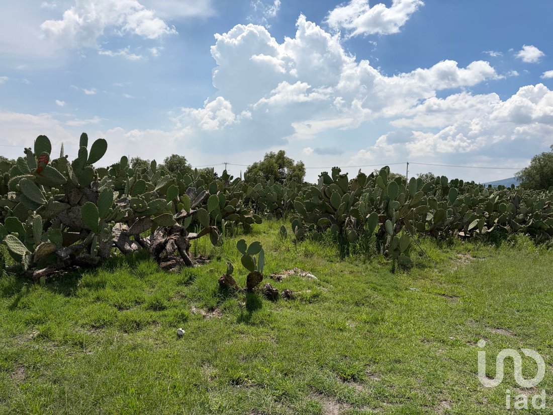 Land in Otumba de Gómez Farías, State of Mexico, Mexico 5 - 18404527