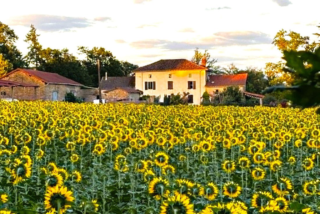 Villa in Saint-Bazile, Nouvelle-Aquitaine, France 3 - 18414093