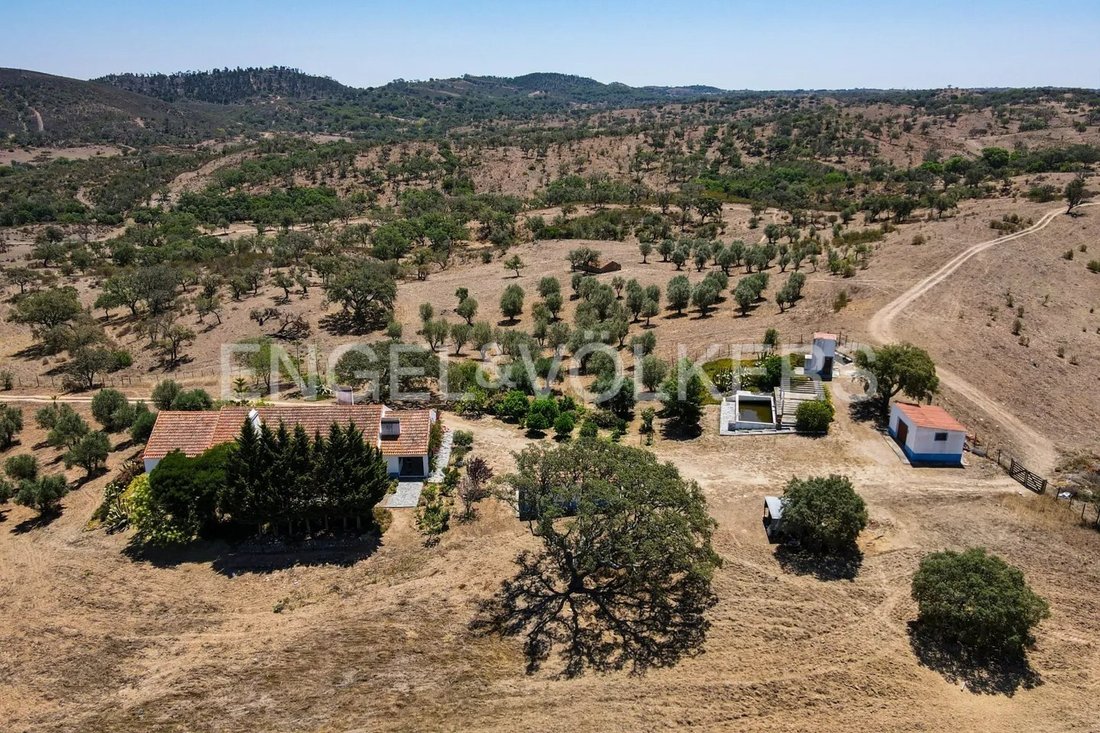 Finca in Grandola e Santa Margarida da Serra, Setubal, Portugal 4 - 18412502