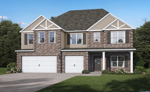 House in Harvest, Alabama, United States 1