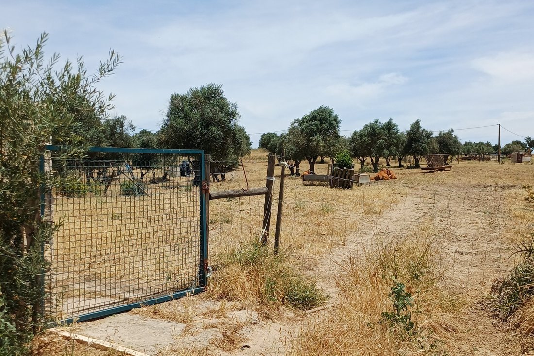 Land in Sao Joao de Negrilhos, Beja District, Portugal 1 - 18412710