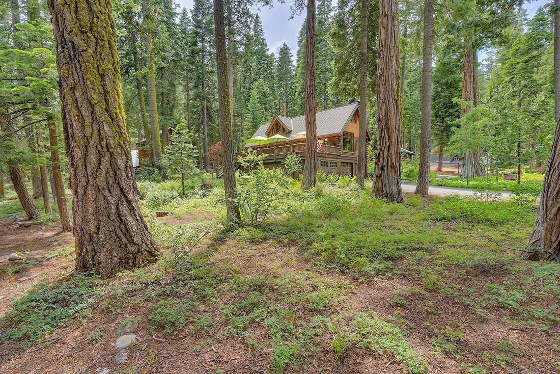Homewood, California, United States 3 - 18412198