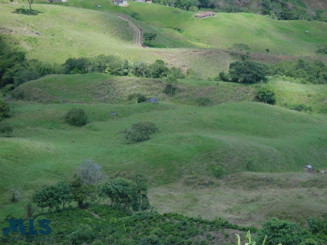 Finca in Andes, Andes, Colombia 4 - 18411721