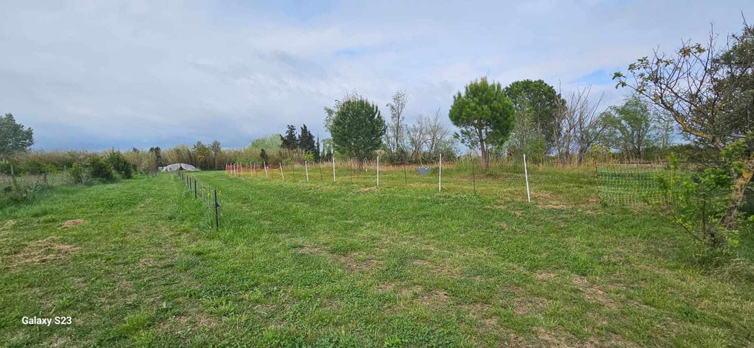 Villa in Arles, Provence-Alpes-Côte d'Azur, France 5 - 18405405