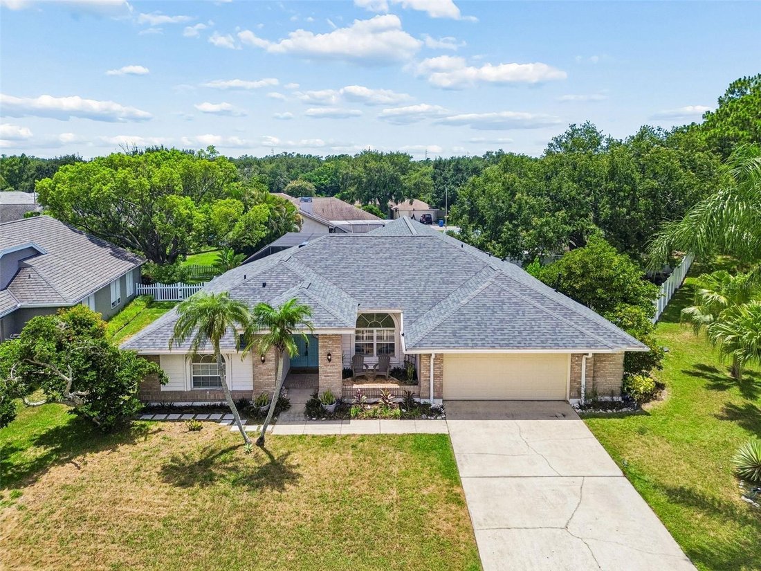 House in Palm Harbor, Florida, United States 2 - 18407824