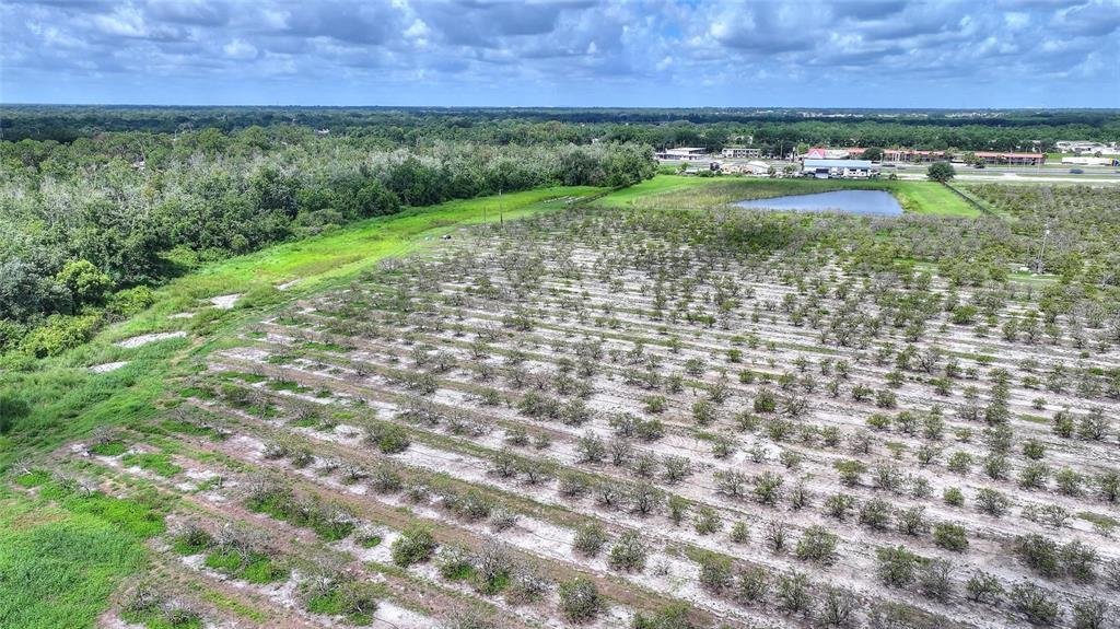 Land in Dundee, Florida, United States 5 - 18409439