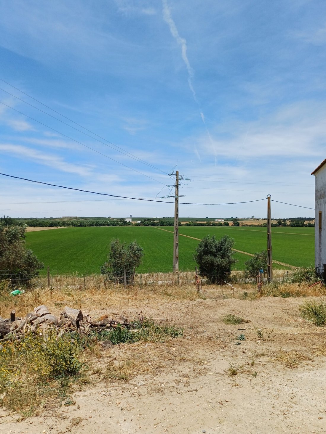 Land in Sao Joao de Negrilhos, Beja District, Portugal 5 - 18412710