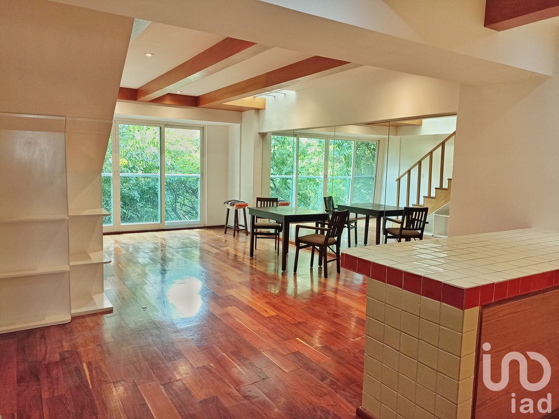 Apartment in Mexico City, Mexico 4 - 18165400