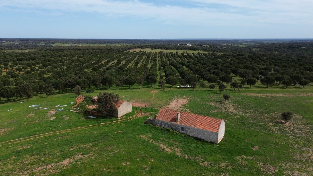 Land in Cercal, Setubal, Portugal 1 - 18412453