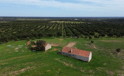 Land in Cercal, Setubal, Portugal 1