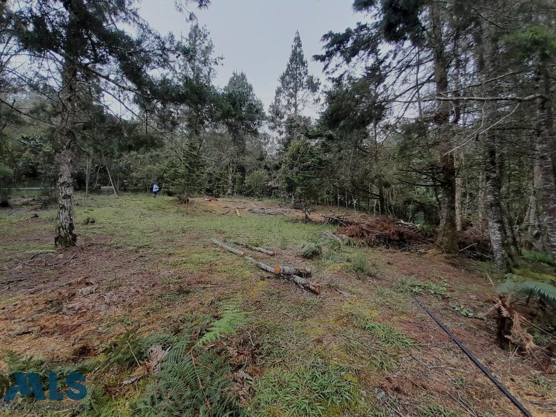 Land in Retiro, Antioquia, Colombia 5 - 18404345