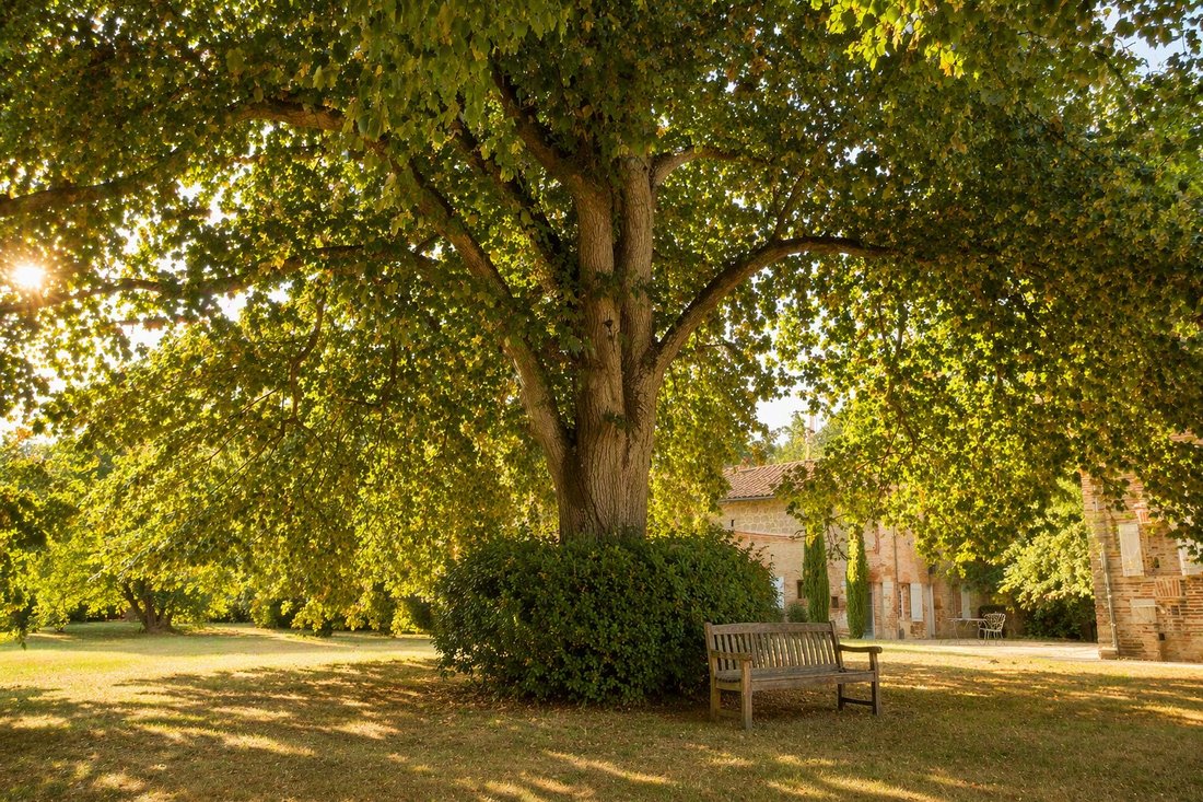 Chateau in Saint-Lieux-les-Lavaur, Occitania, France 4 - 17796867