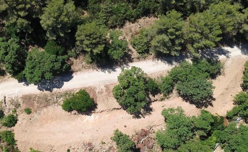 Land in Carqueiranne, Provence-Alpes-Côte d'Azur, France 1