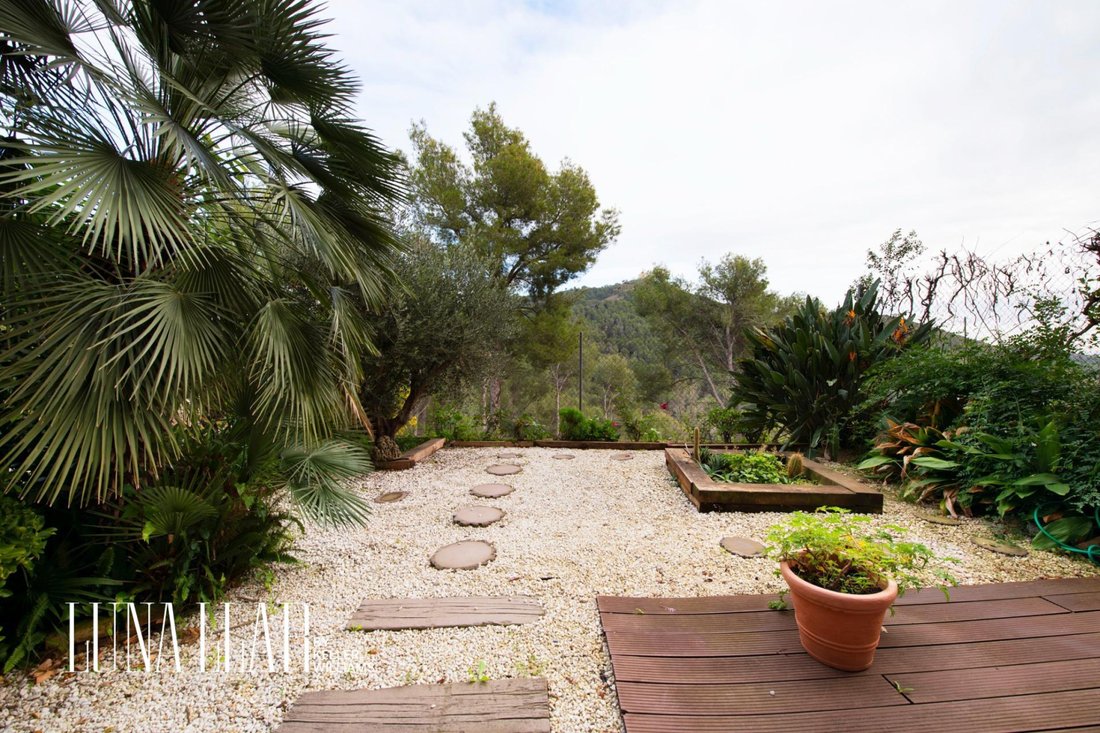 House in Sant Climent de Llobregat, Catalonia, Spain 3 - 18411753