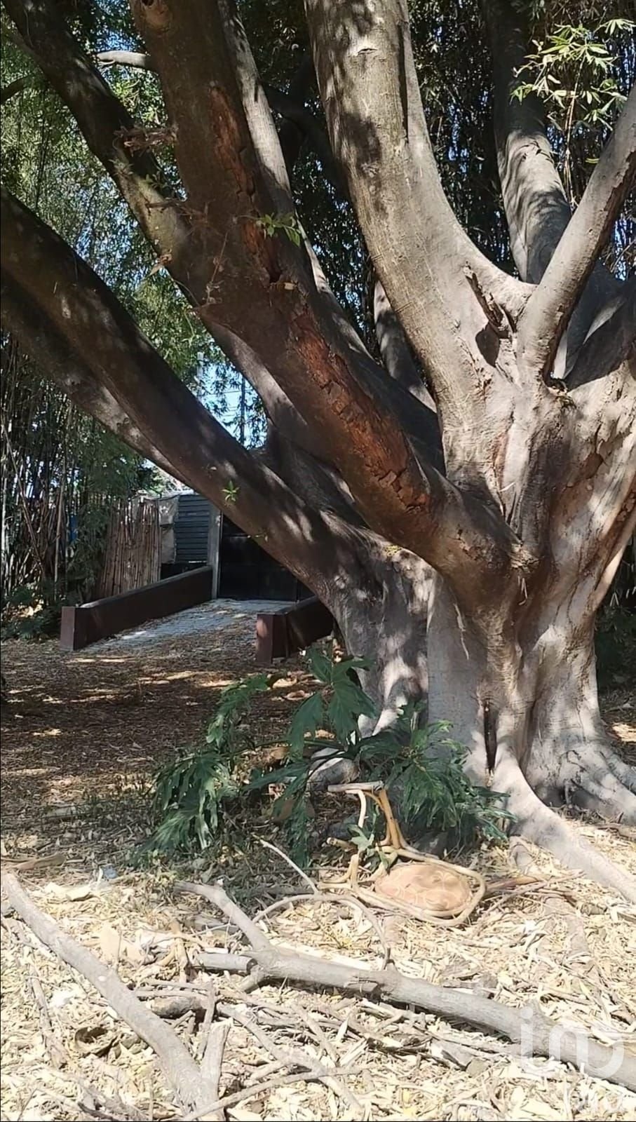 House in Cuernavaca, Morelos, Mexico 5 - 18404521