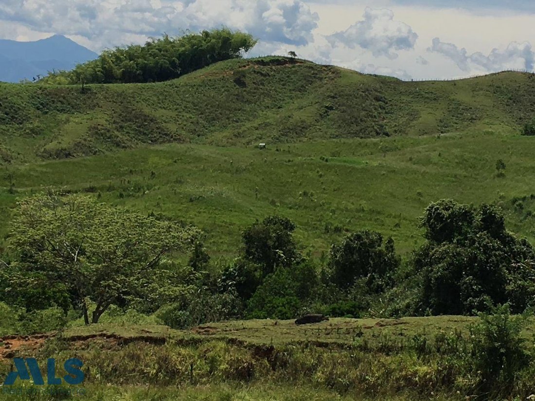 Finca in Andes, Andes, Colombia 5 - 18411721