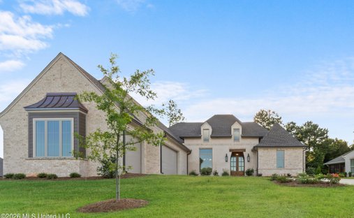 House in Flowood, Mississippi, United States 1