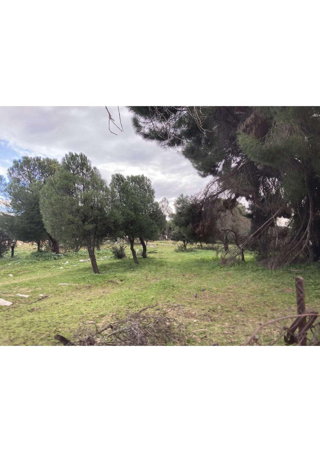 Land in Majadahonda, Comunidad de Madrid, Spain 4 - 18417487