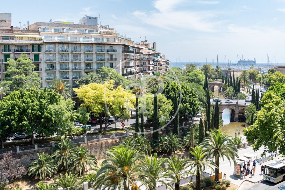 Apartment in Palma, Balearic Islands, Spain 3 - 18044250