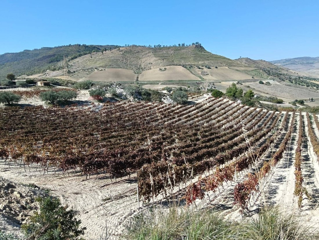 Terrain à Caltagirone, Sicile, Italie 5 - 18415606
