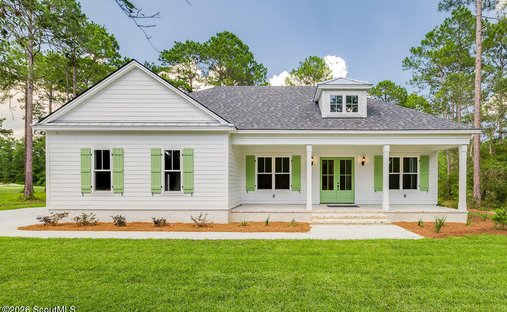 House in Barbour Island, Georgia, United States 1