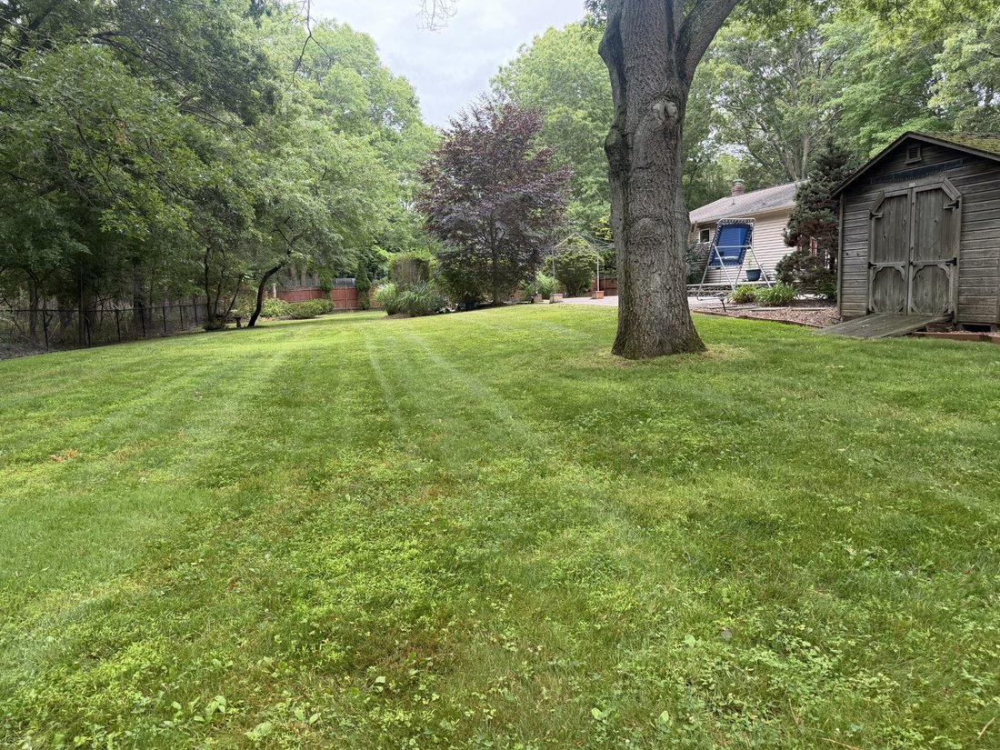Ridge, New York, United States 3 - 18411783