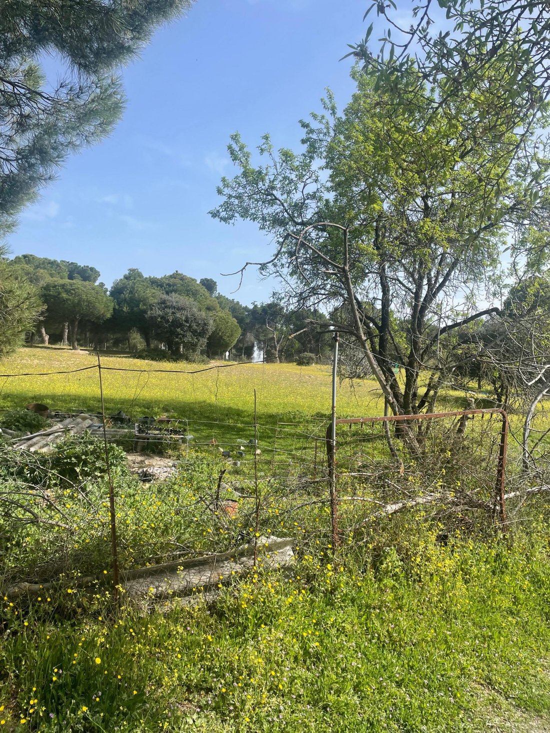 Land in Majadahonda, Comunidad de Madrid, Spain 3 - 18417487