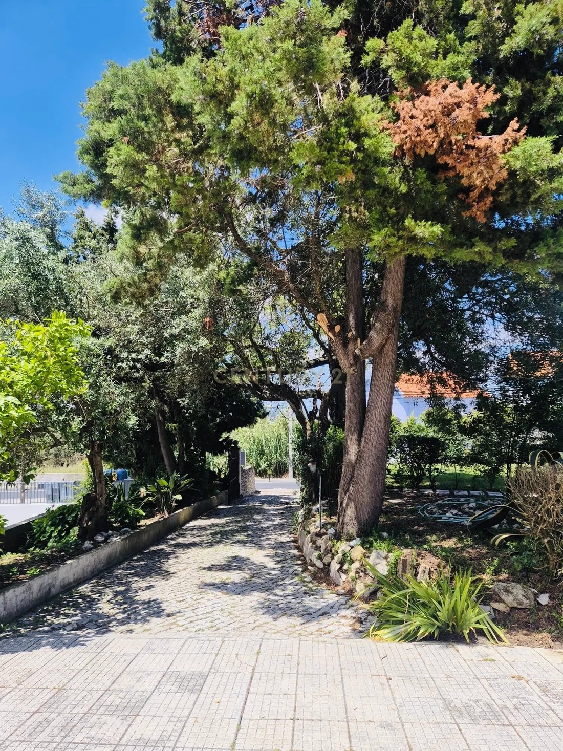 Villa in Palmela, Setubal, Portugal 3 - 16887531