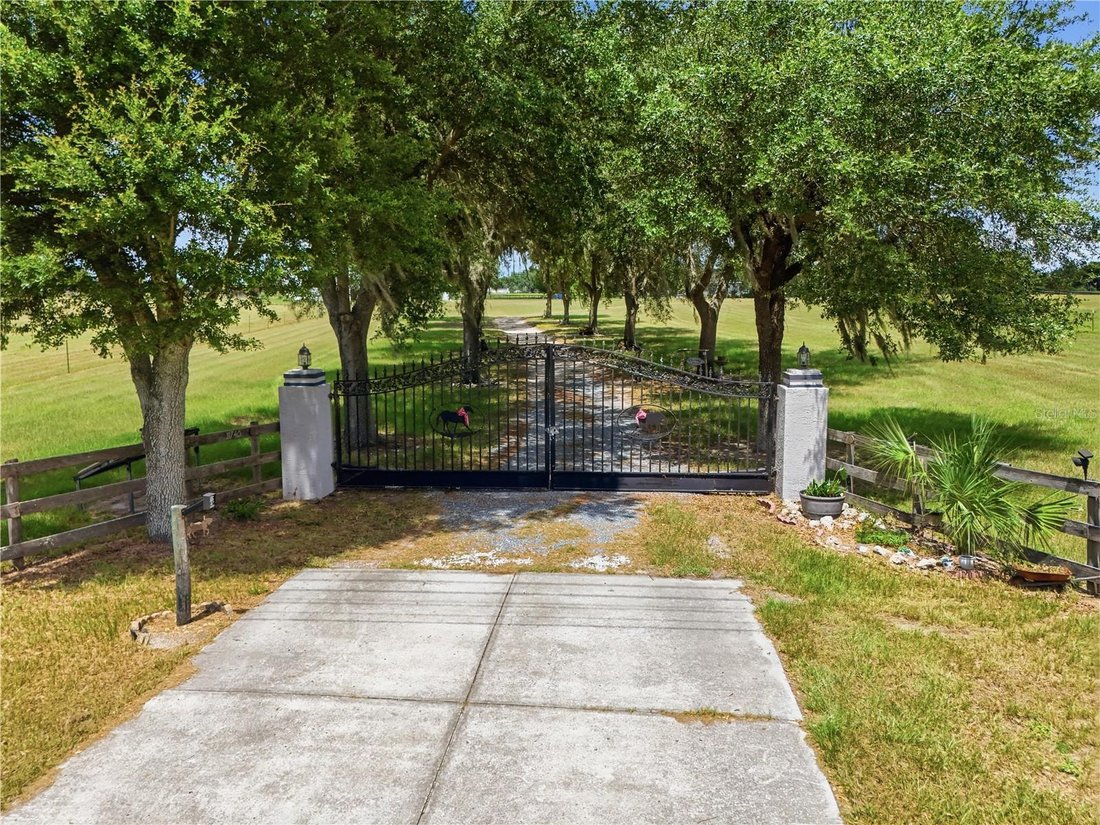 Farm Ranch in Anthony, Florida, United States 1 - 18413260