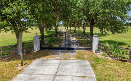 Farm Ranch in Anthony, Florida, United States 1