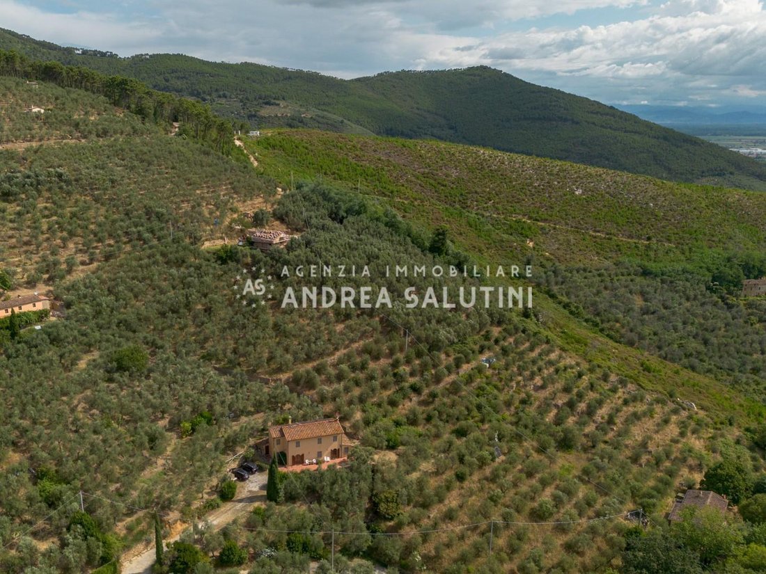 Vicopisano, Tuscany, Italy 3 - 18414791