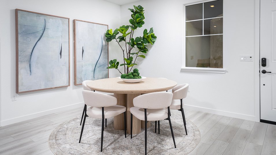 House in Sacramento, California, United States 5 - 18414119