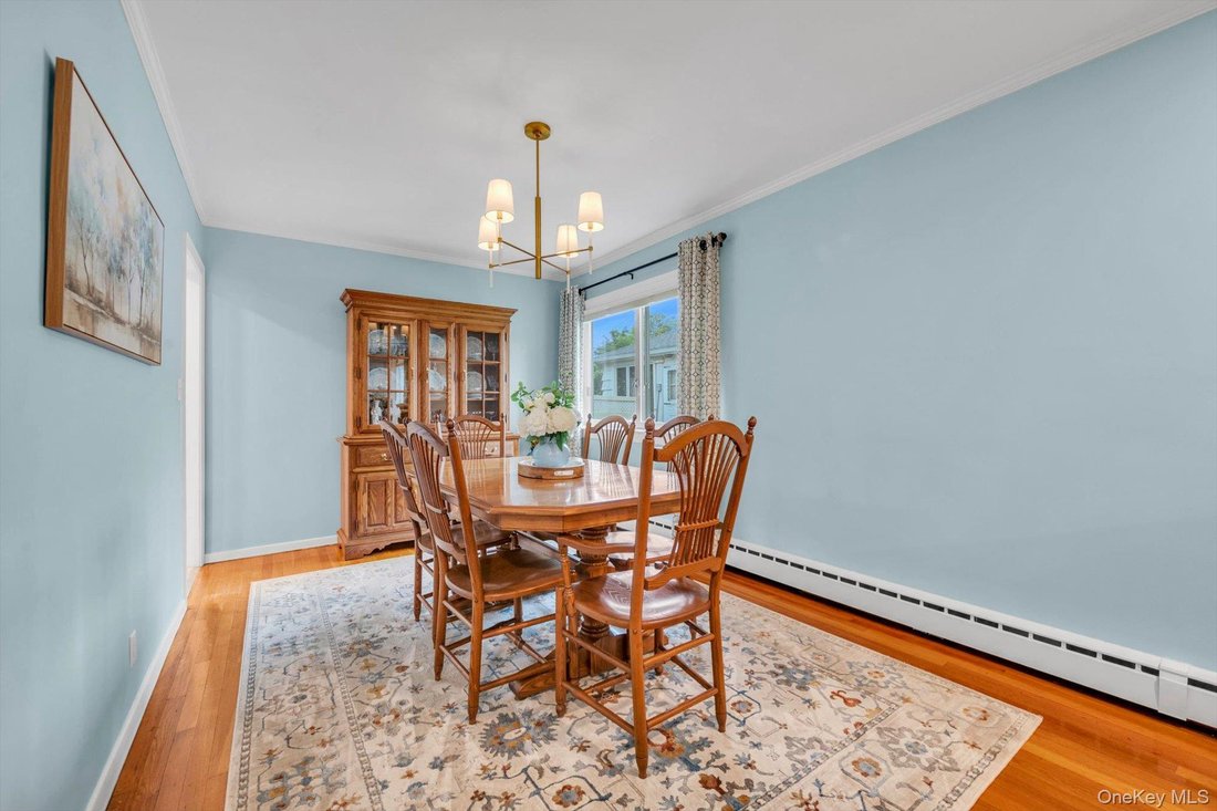 House in New Hyde Park, New York, United States 5 - 18414876
