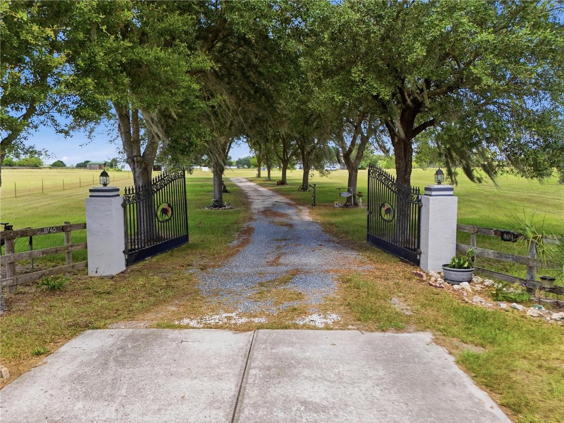 Farm Ranch in Anthony, Florida, United States 3 - 18413260