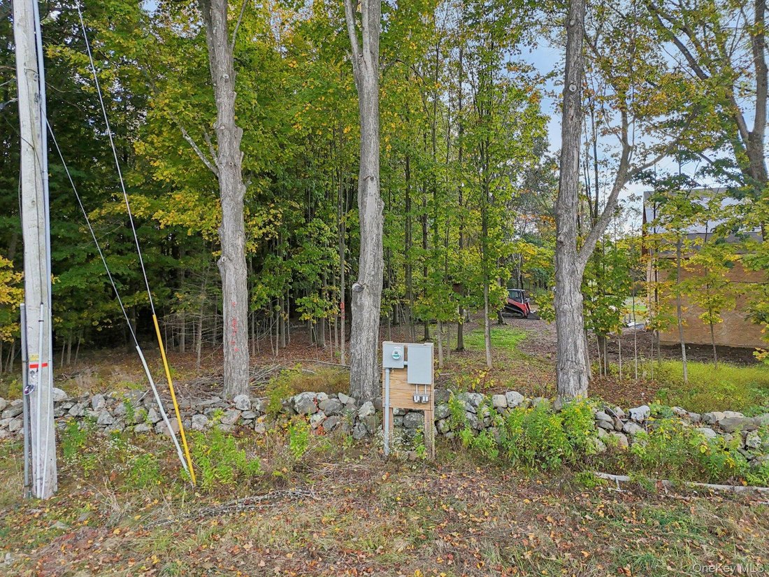 Pine Bush, New York, United States 4 - 18408947