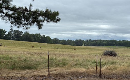 Terreno a Finger, Tennessee, Stati Uniti 1