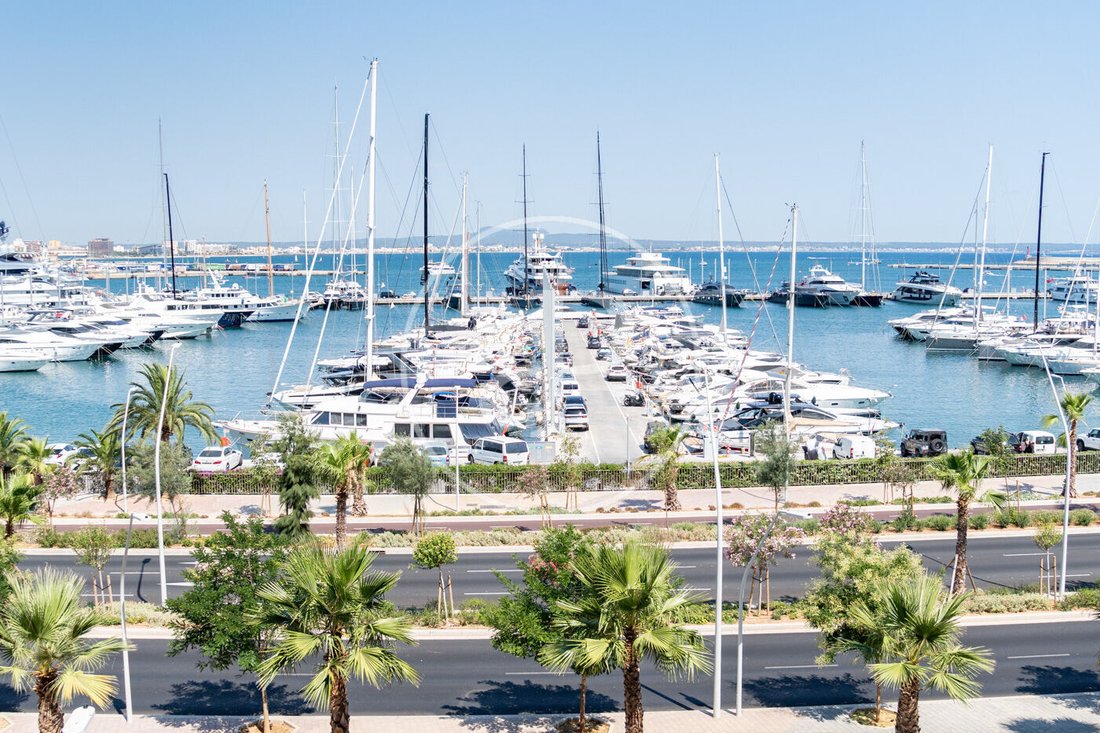 Apartment in Palma, Balearic Islands, Spain 1 - 18358834