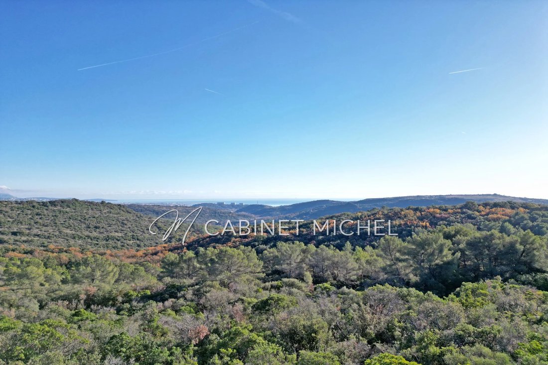 Villa in Nord, Roquefort-les-Pins, France 2 - 18403700