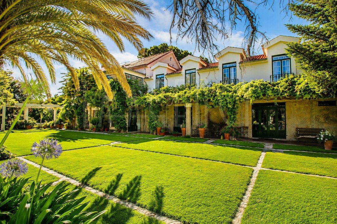 Finca in Orjais, Castelo Branco District, Portugal 3 - 18416870