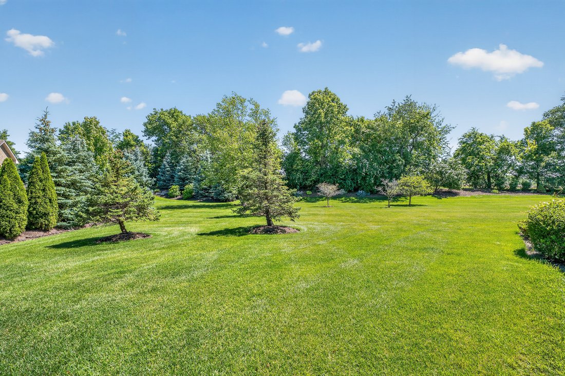 Townhouse in Frankfort, Illinois, United States 2 - 18416371
