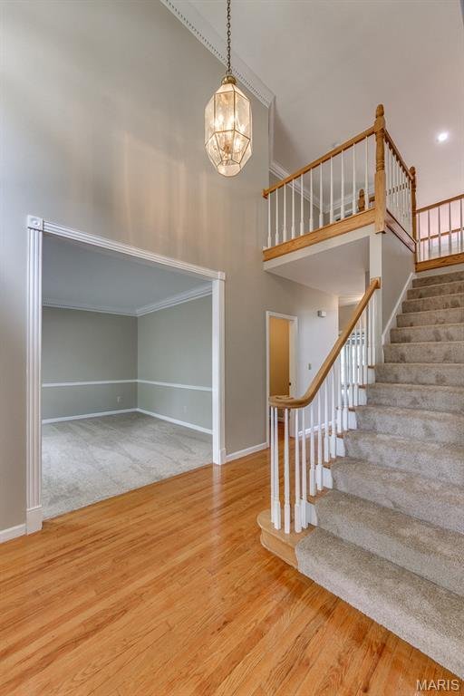 House in Town and Country, Missouri, United States 4 - 18411089