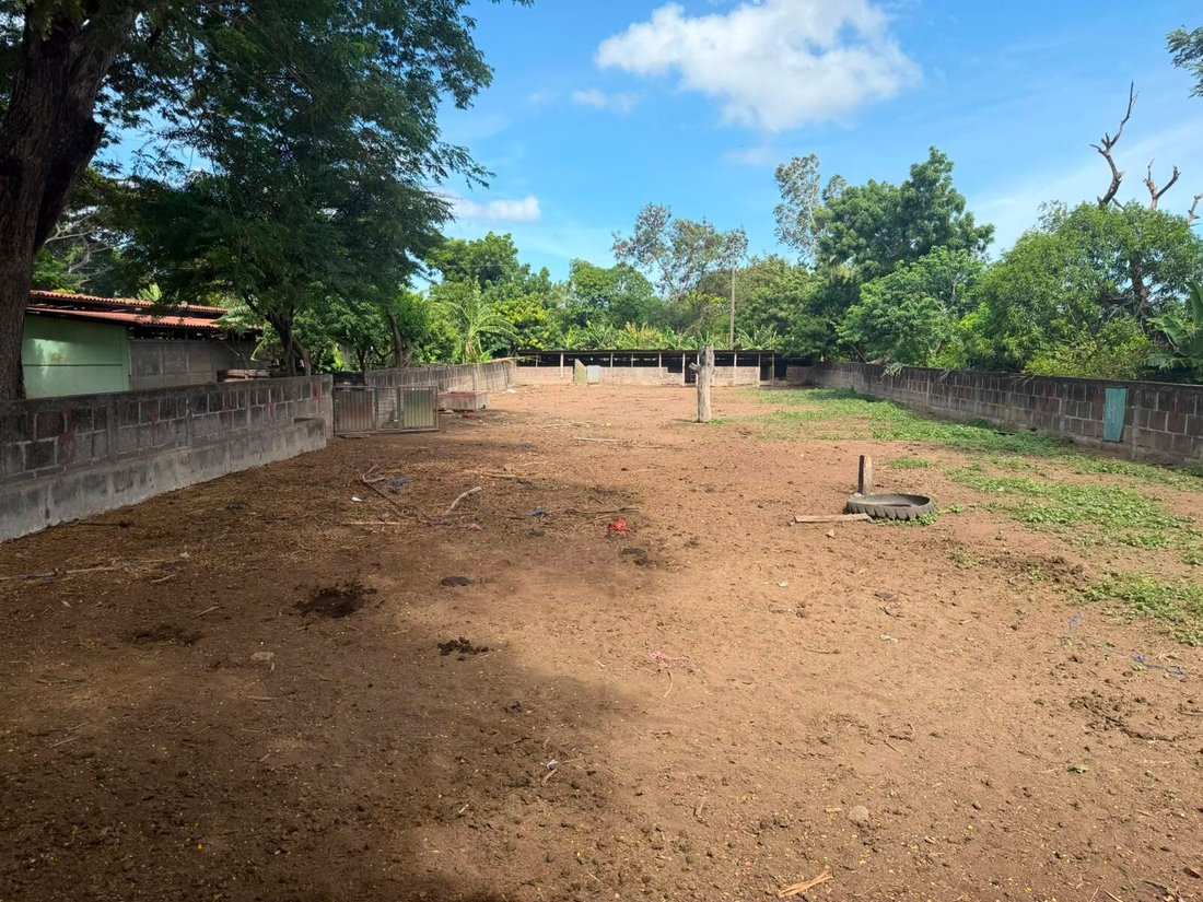 Farm Ranch in Managua, Managua, Nicaragua 3 - 18408891