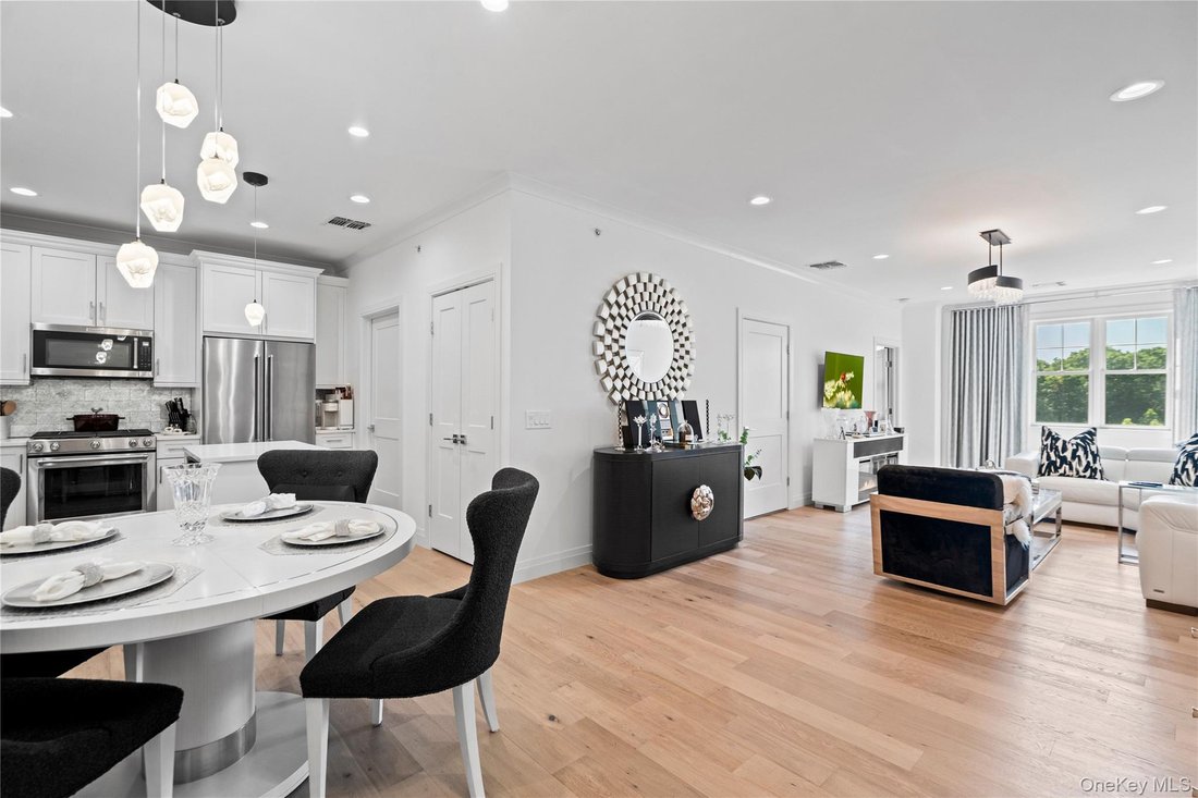 Condo in Plainview, New York, United States 3 - 18408665