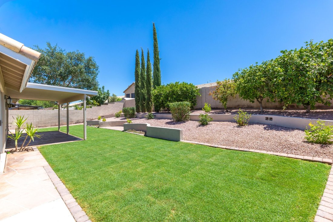 Mesa, Arizona, United States 4 - 18412737