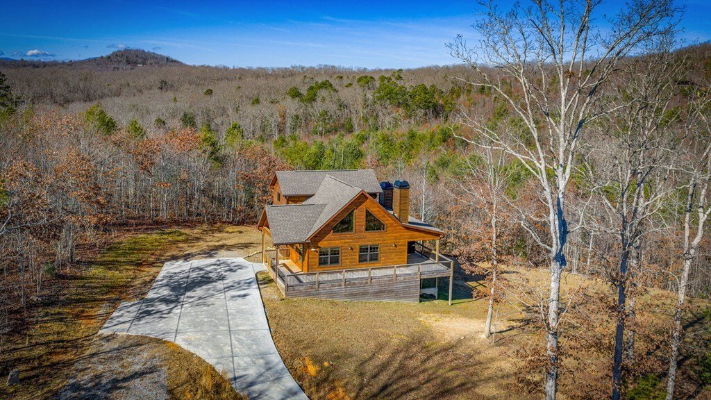 House in Mineral Bluff, Georgia, United States 4 - 18419117