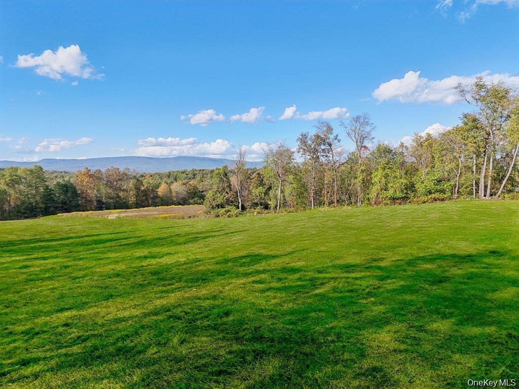 Pine Bush, New York, United States 1 - 18408947