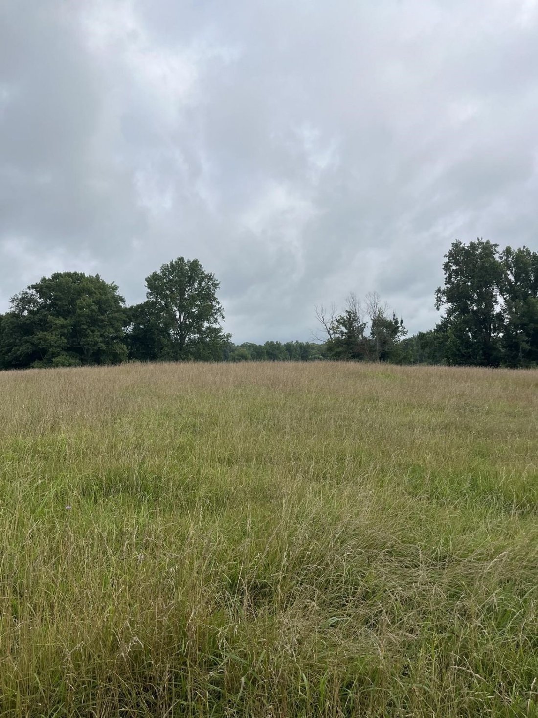 Land in Monroe, Tennessee, United States 1 - 18410505
