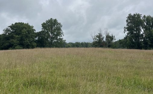 Land in Monroe, Tennessee, United States 1
