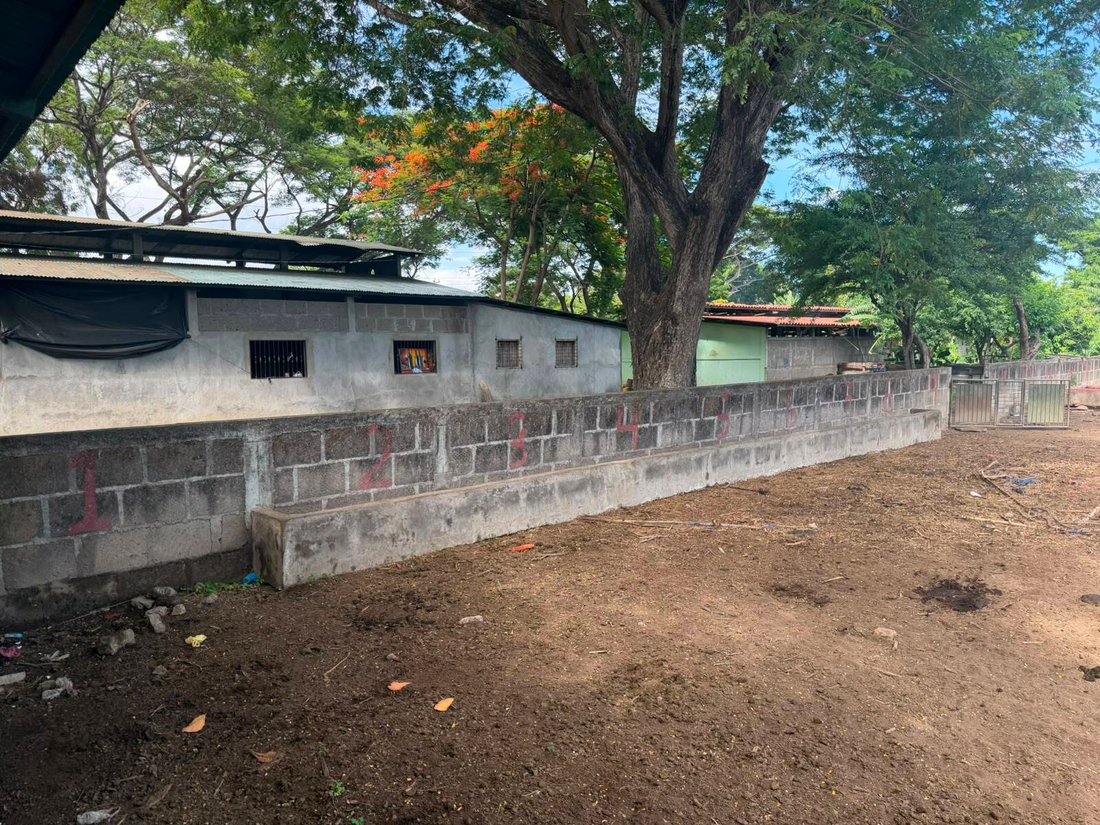 Farm Ranch in Managua, Managua, Nicaragua 4 - 18408891